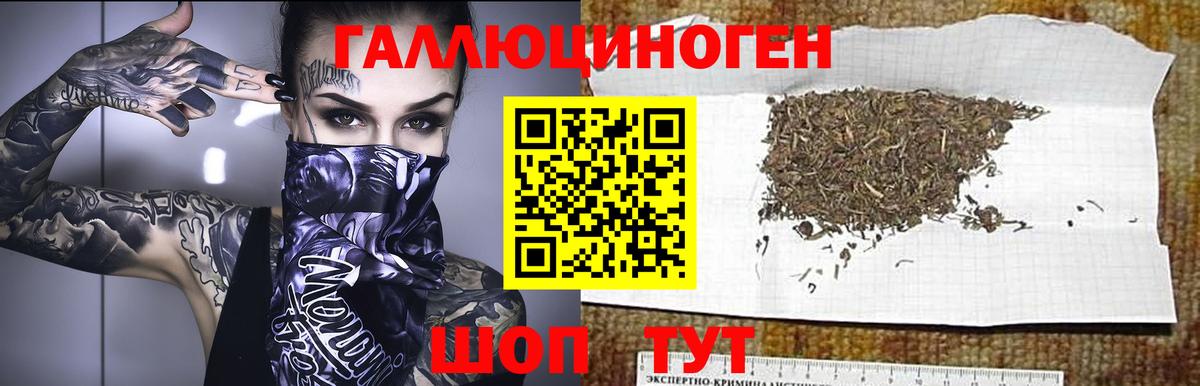 Галлюциногенные грибы Psilocybine cubensis Кинель