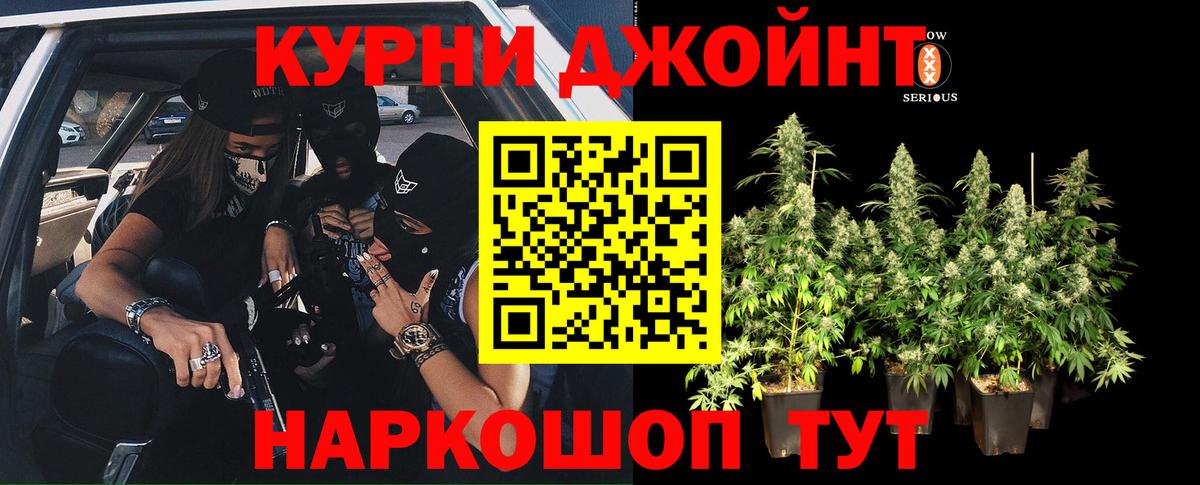 Бошки Шишки конопля  Каннабис гибрид  Каннабис марихуана  Канабис семена  Кинель  Вход с VPN 